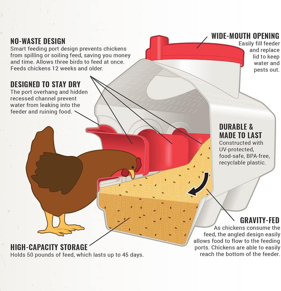 OverEZ Chicken Feeder - Holds 50 Pounds of Feed - Inside or Outside Hen Coop - Large Gravity Fed Automatic Poultry Dispenser - No Waste Rainproof Design