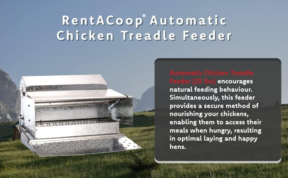 RentACoop Automatic Metal Treadle Feeder - Outdoor Use, Rainproof - Suitable for Chicken, Bantams, Poultry, Pheasants, Ducks, and Fowl - 25lb Capacity