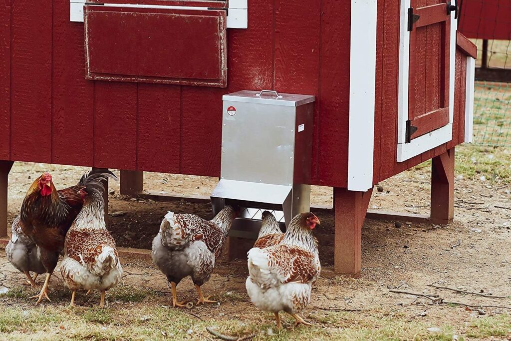 RentACoop Galvanized Chicken Trough Feeder, Weatherproof Poultry Food Dispenser with Lid 25LB Capacity