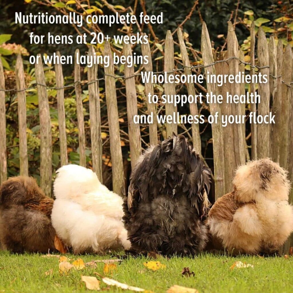 Scratch and Peck Feeds Organic Layer Mash Chicken Feed - 50-lbs - 16% Protein, Non-GMO Project Verified, Naturally Free Chicken Food