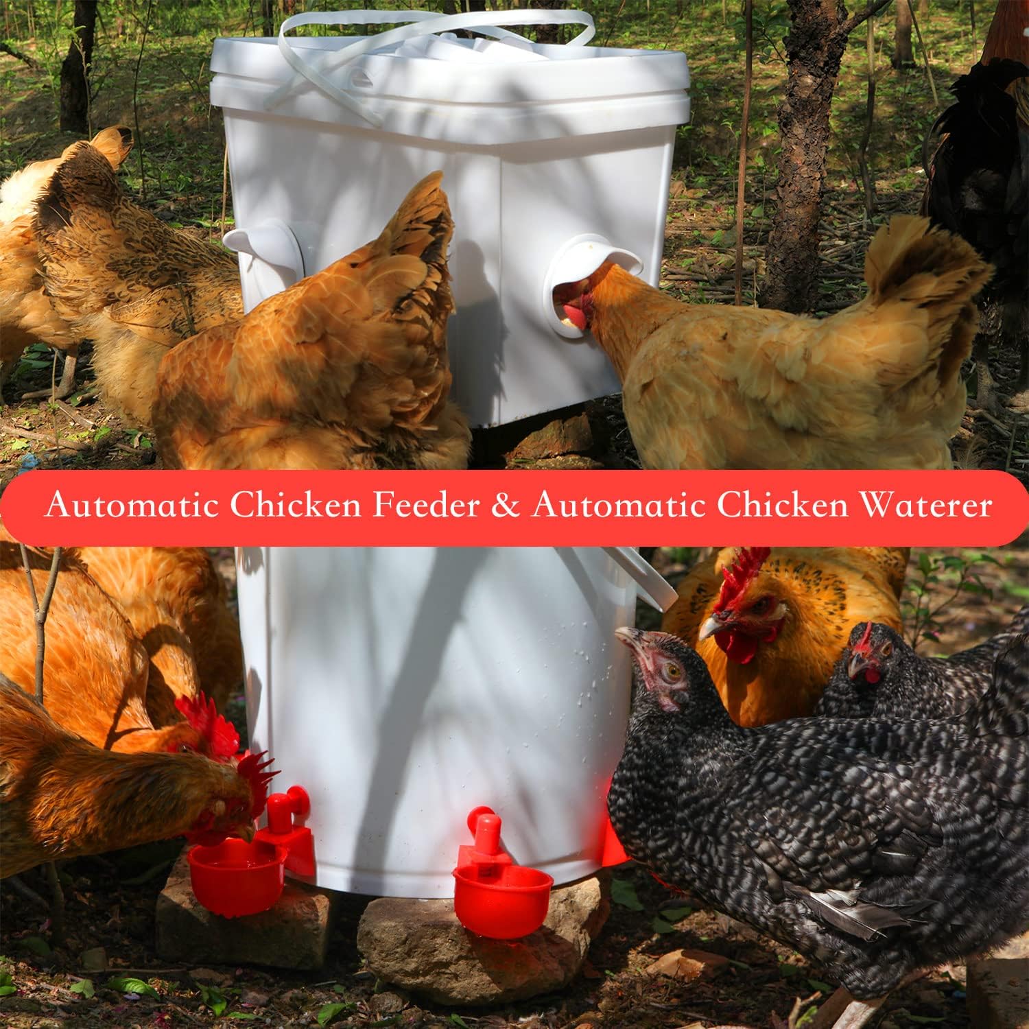 TUZIER Chicken Feeder No Waste Automatic Poultry Feeder Ports Kit and Waterer Set Review